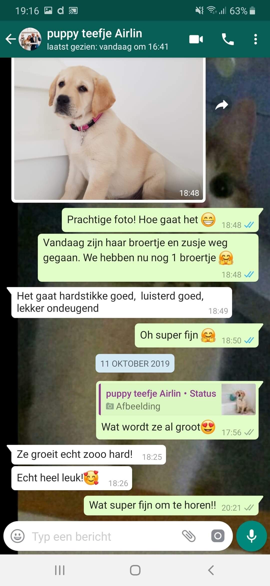 977A0743-44E7-4CFC-82C8-8A8ED5A58836