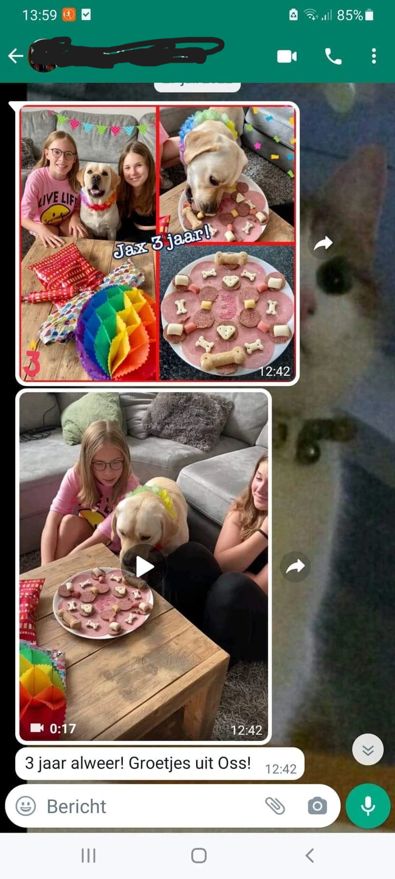 Deze afbeelding heeft een leeg alt-atribuut; de bestandsnaam is gp44e9jb.png