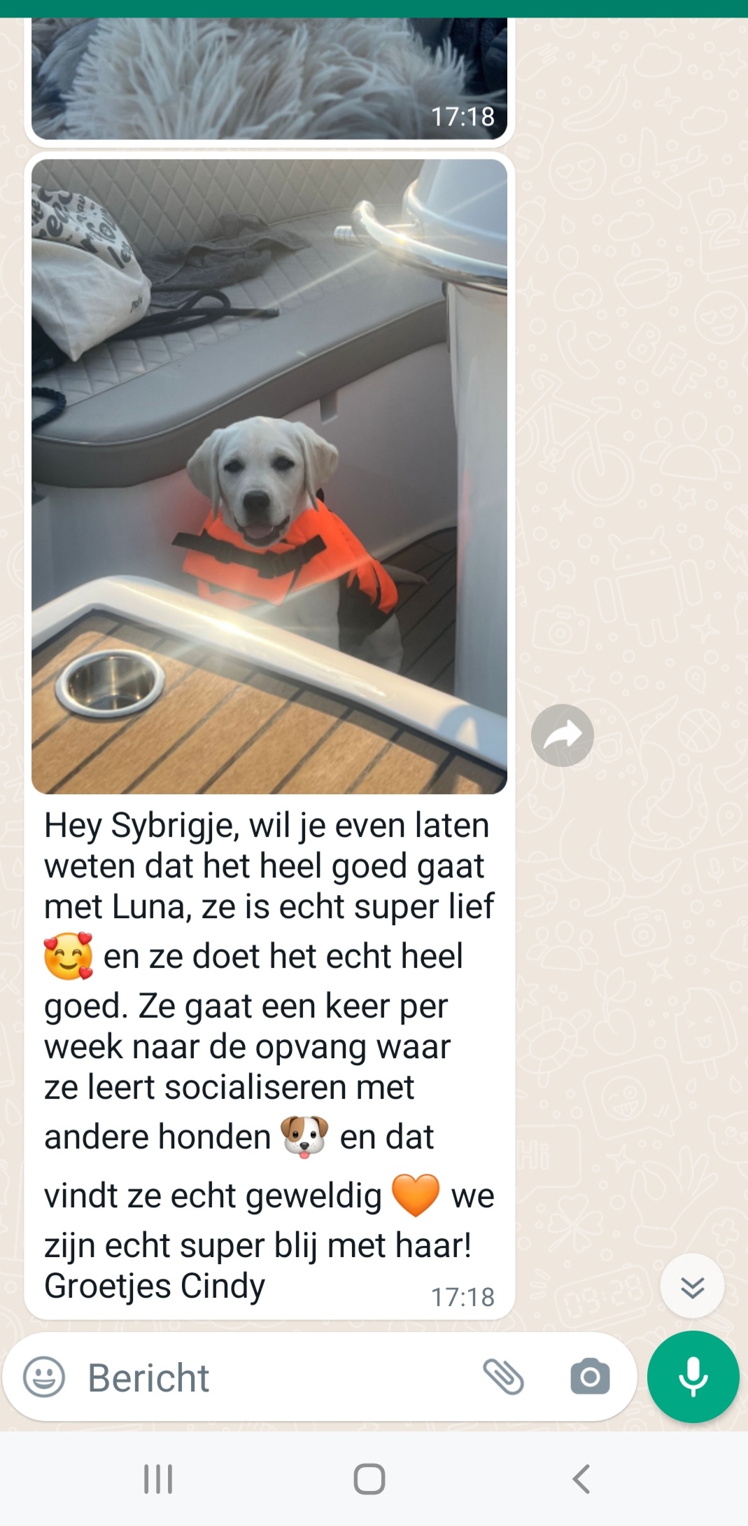 Deze afbeelding heeft een leeg alt-atribuut; de bestandsnaam is screenshot_20230729_140829_whatsapp.jpg