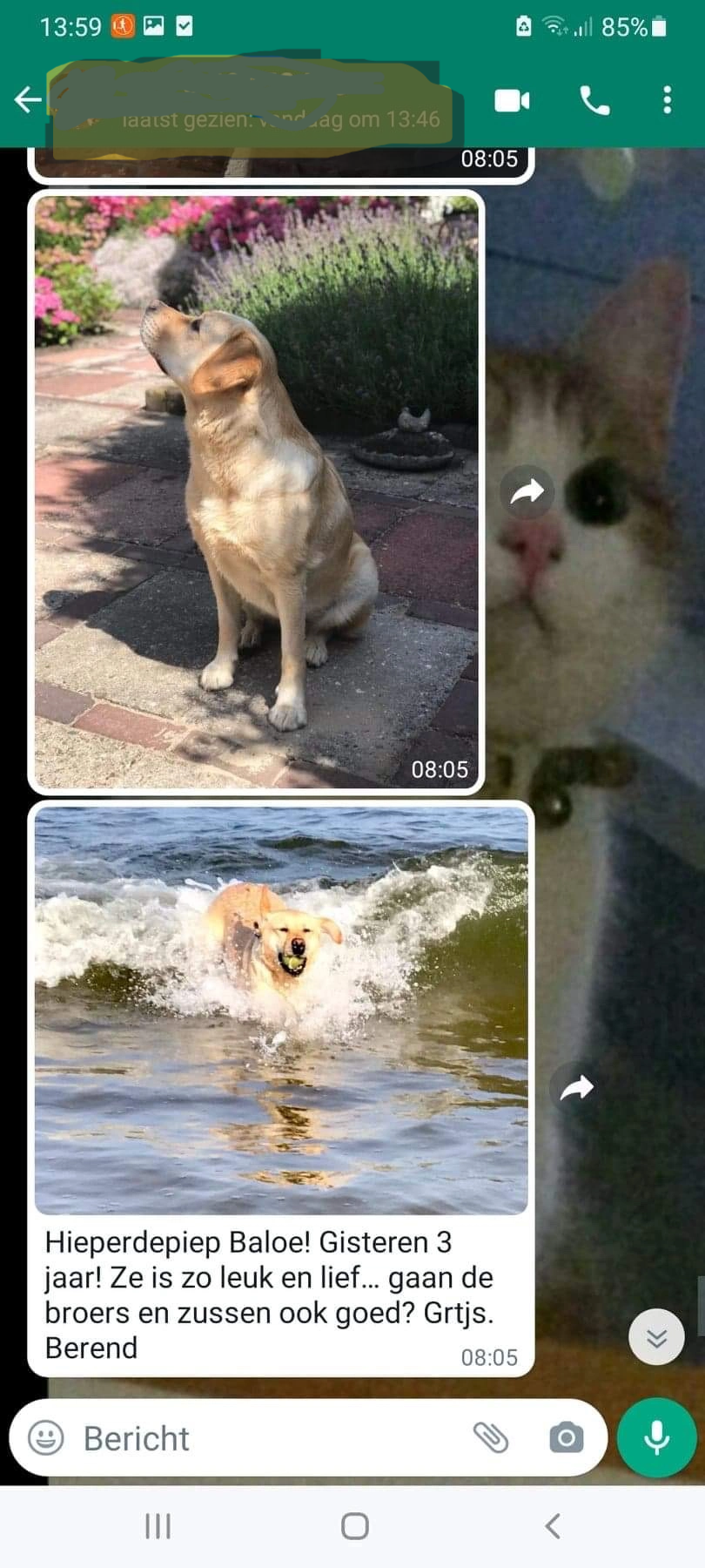 Deze afbeelding heeft een leeg alt-atribuut; de bestandsnaam is v1dada8u.png